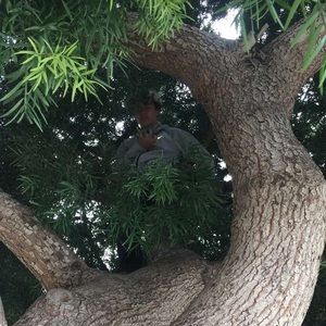 Meet your Posher, Jimmy